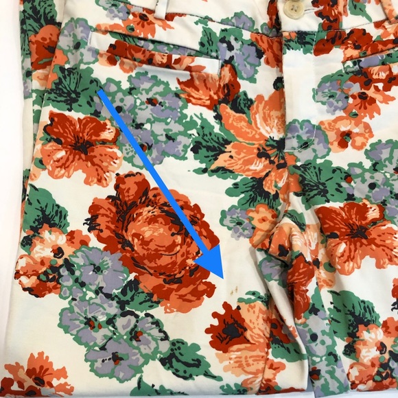 Anthropologie Cartonnier Floral Crop Pants - Picture 11 of 12